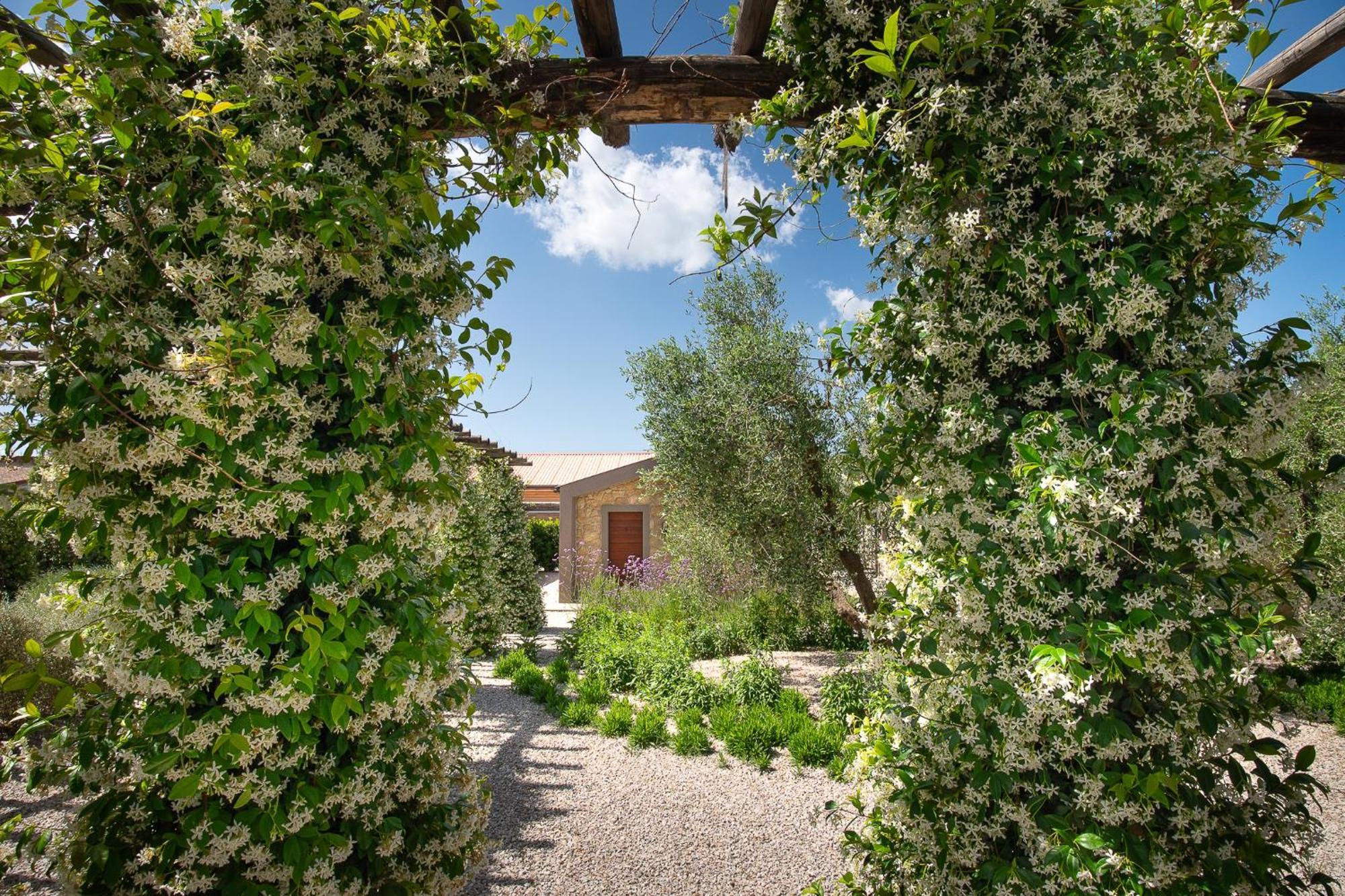 Agriturismo Resort Il Foionco Massa Marittima Exterior photo